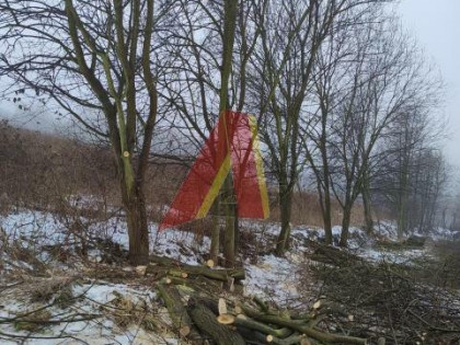 Działka rolna Brzoskwinia gm. Zabierzów, Krakowska