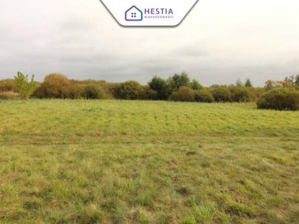 Duża działka z linią brzegową jeziora Miedwie