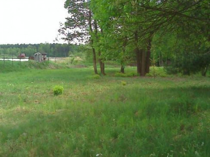 2 działki razem rekreacja las stawy 2806+3517m2 Jura