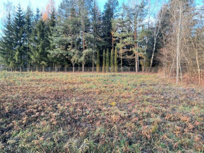 Działka budowlana Wola Karczewska gm. Wiązowna