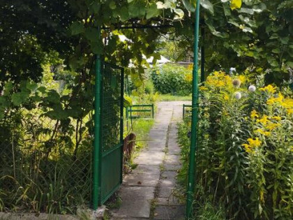 Działka ROD, Warszawa - Targówek.