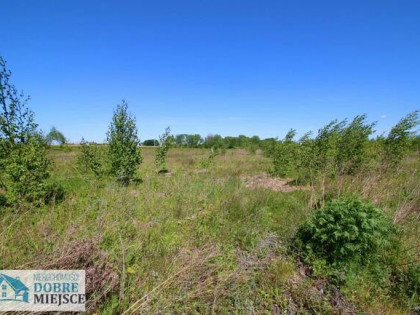 Działka budowlana Aleksandrowo gm. Dobrcz