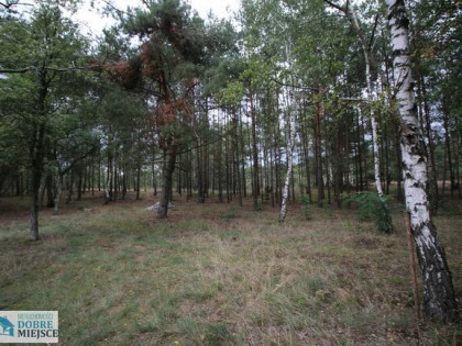 Działka budowlana Zielonka  gm. Białe Błota