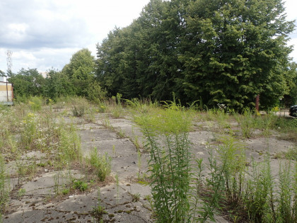 Syndyk ogłasza konkurs: sprzedaż 1/2 nieruchomości w Libiążu