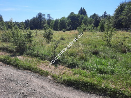 Ostatnia z podziału dobra lokalizacja