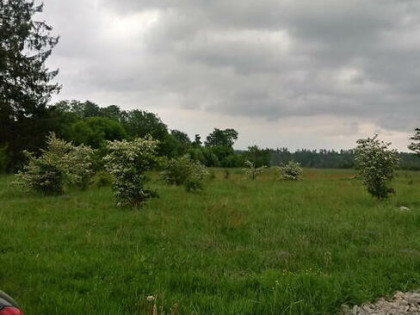 Dzialka rolno-budowlana