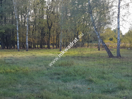 ⭐⭐⭐⭐ Makówka obok Czrnego Lasu na dom 2 lokal⭐⭐⭐⭐