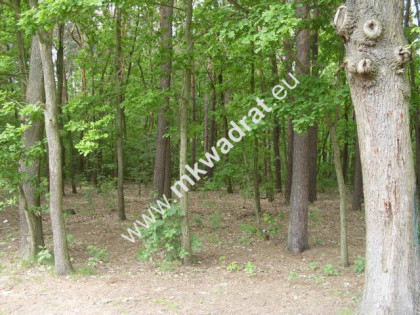 Leśna z pr. zabud. pod zabud. rezydencjonalną MPZP