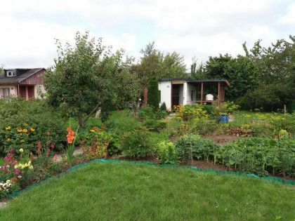 Sprzedam działkę ROD