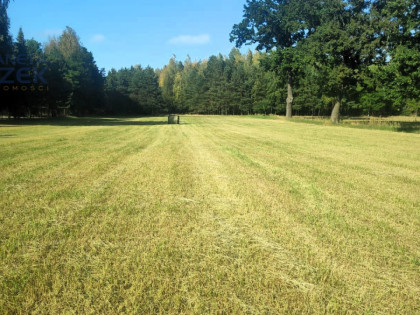 Działka Lasocin ul.  