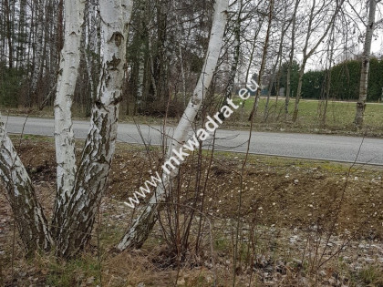 działka budowlana  pod dom 2-lokalowy