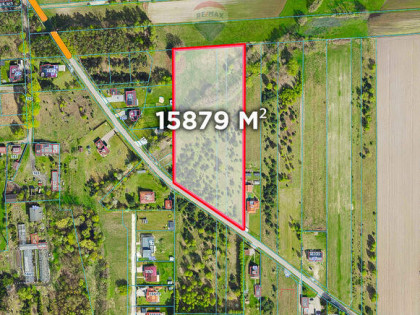 Duża działka 1,5 ha pod dom lub stadninę Jadwinin