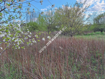 Działka w dobrej lokalizacji