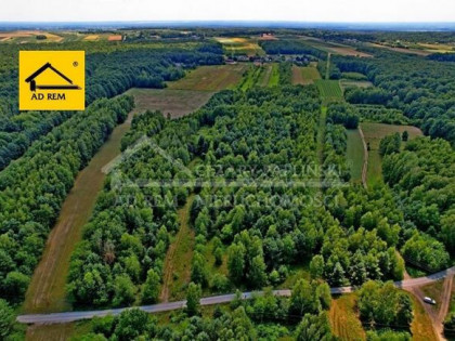 Działka rolna Uściąż gm. Karczmiska, Uściąż