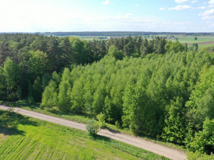 Działka Stary Cydzyn