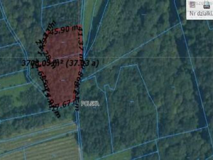 Kazimierz Dolny 3243; 3244 w Bochotnica 37ar