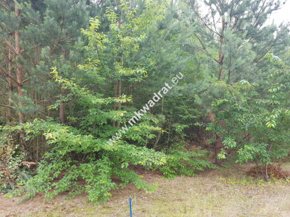 Działka 2000m 2 Musuły Okazja !!