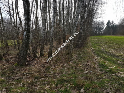 Borszyce gm.Kowiesy działka 7 283 m