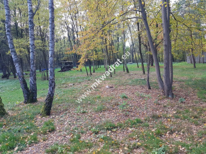 ⭐⭐⭐⭐ Super Działka z dostępem do rzeczki ⭐⭐⭐⭐