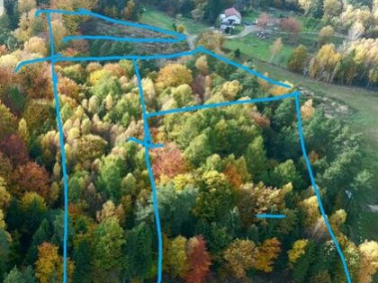 Dzialka budowlana prywatny las przy LP kolo Egiertowa