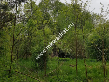 Korabiewice działka leśna