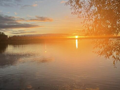 Sprzedam działkę ROD