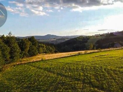 Działka budowlana Michałkowa gm. Walim