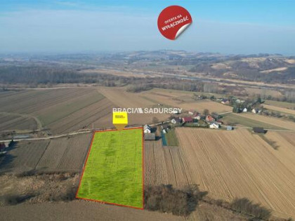 Działka siedliskowa Szczurowa Popędzyna, Popędzyna