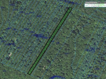 Działka leśna Toki gm. Nowy Żmigród