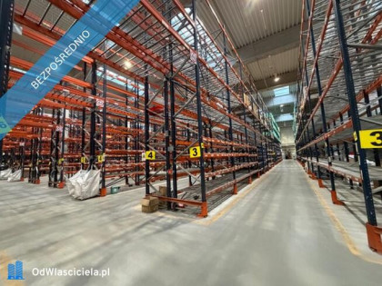 GOTOWA BAZA DLA FIRMY: HALA+BIURA+MAGAZYN DO WYNAJĘCIA/ SPRZEDAŻY