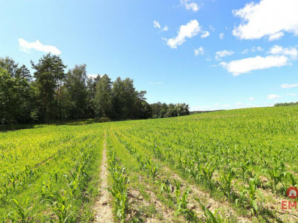 Działka budowlana Rożyńsk Wielki gm. Prostki,