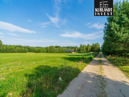 Działka budowlana 3153m² w sercu Borów Tucholskich