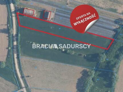 Działka Szczurowa Popędzyna, Popędzyna