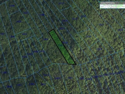 Działka leśna Czermna gm. Szerzyny