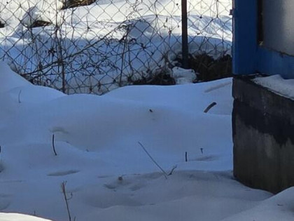 Działka rekreacyjna na granicy Targówka I Ząbek