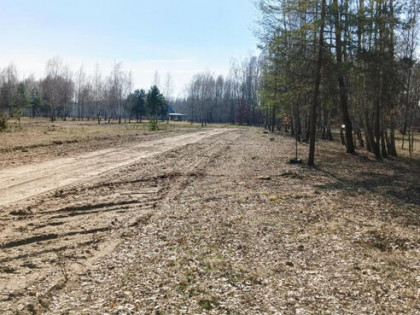 Działka budowlana przy lesie Leontyna