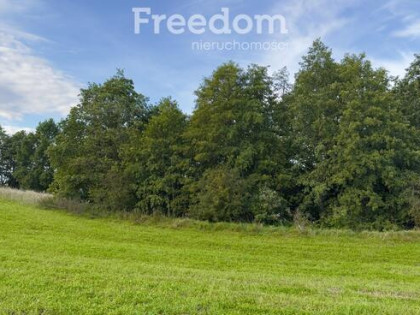 Działki budowlane Wronka k. Giżycka