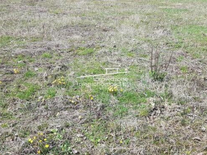 Działka budowlana Pęcice gm. Michałowice