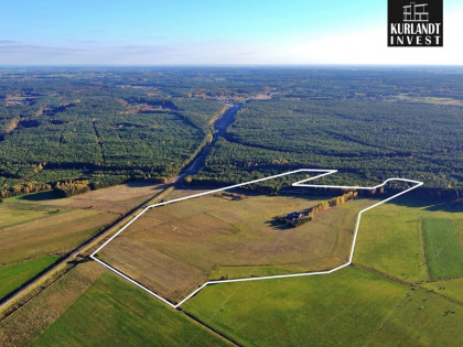 Siedlisko 13 ha Brzozie Bory Tucholskie