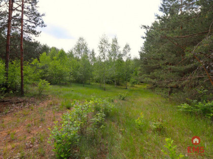 Działka budowlana Płaska,