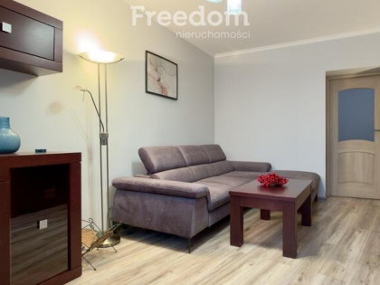 Reprezentacyjne mieszkanie – najem Firm