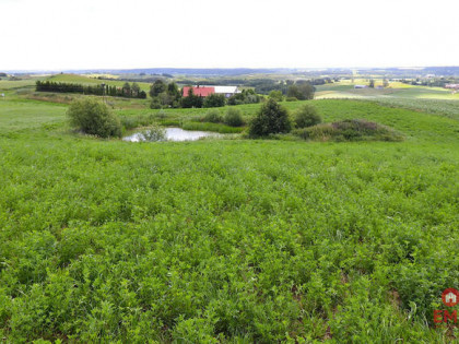 Działka budowlana Olszanka gm. Rutka-Tartak,