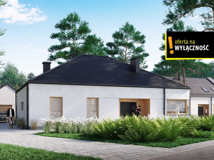 Dom Borków rynek pierwotny ul.  