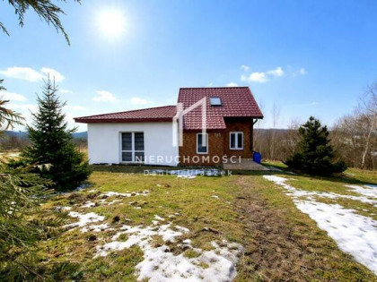 Dom Sowina gm. Kołaczyce