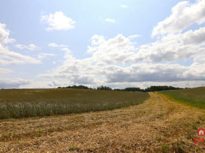 Działka inwestycyjna Garbas Drugi gm. Filipów,