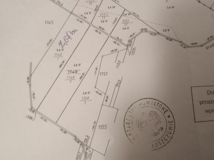 Tania działka leśna w Dzierzgowie