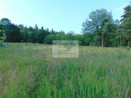 Działka budowlana Kiełczyn gm. Dzierżoniów