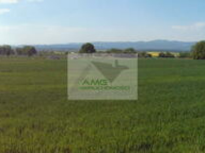 Działka rolno-budowlana Kiełczyn gm. Dzierżoniów