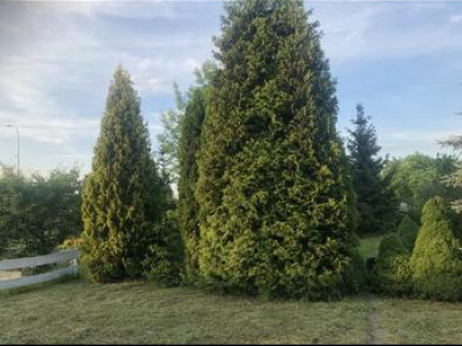 NOWOŚĆ NAJTANIEJ REKREACYJNA ROD W BIAŁYMSTOKU OK 300m2