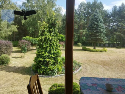 Dom 277 + działka 2500 m2